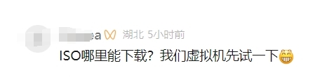 等华为鸿蒙电脑操作系统ISO镜像的没戏了！所有Windows电脑都无法下载安装