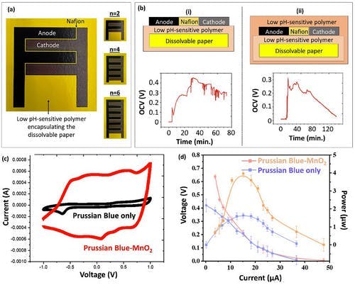Probiotic-powered biobattery encapsulated with a low pH-sensitive polymer