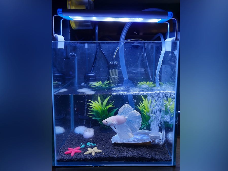 Smart Aquarium - 2025 oneM2M International Hackathon